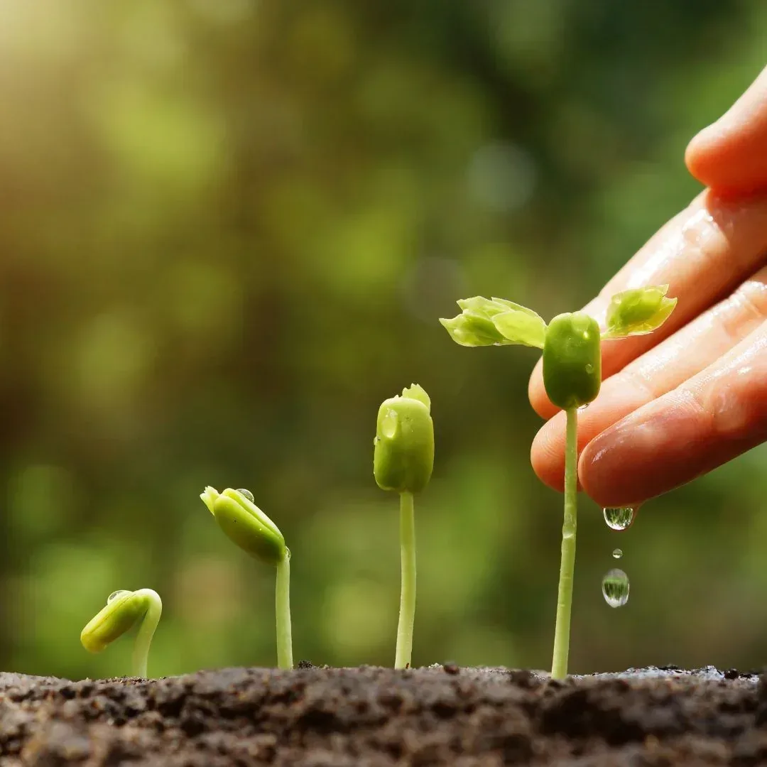 Subsidy in Agriculture: A Boon for Farmers and the Backbone of Food Security