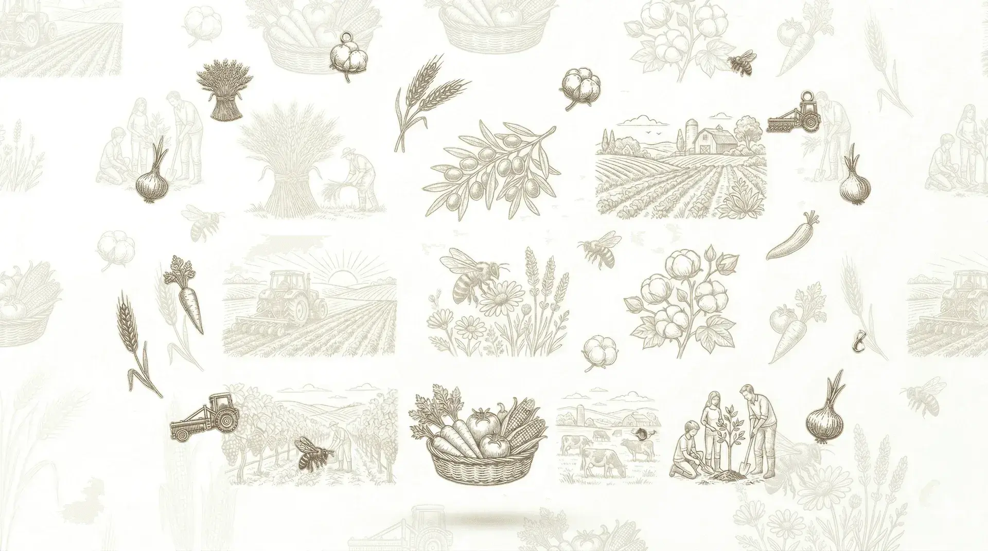 IGO Agritech Farms Corporate Brand Identity