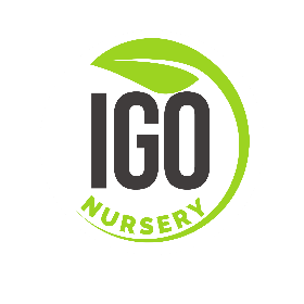 Nursery